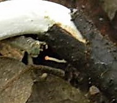 Ritrovamenti del 29.03.2011.